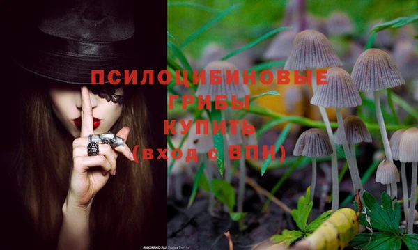 скорость Балахна